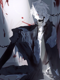 小辣椒nb18